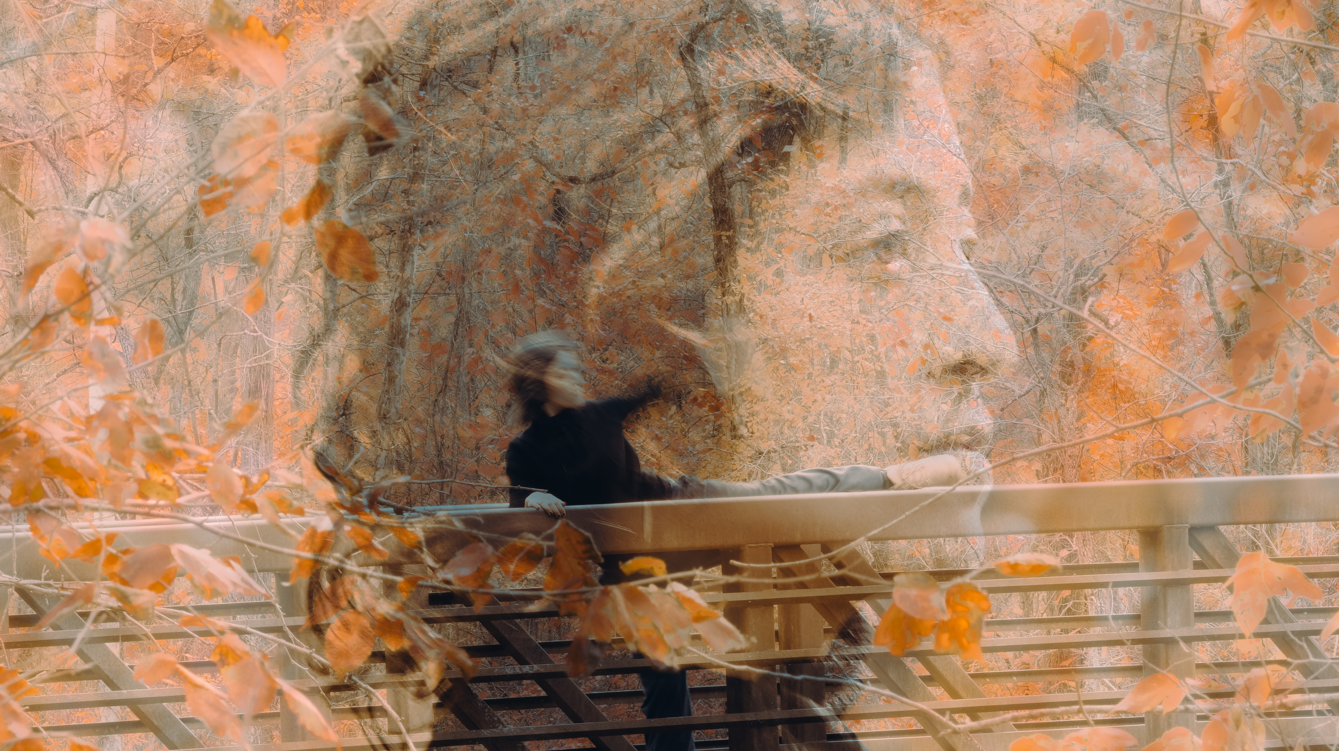 Creative headshot of Lucia Duque, double exposure image with a side profile overlayed a forest setting as Lucia creates movement on a bridge